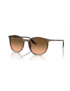 Ray Ban RB2204 2