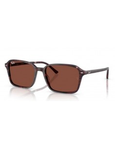 Ray Ban RB2231  Raimond