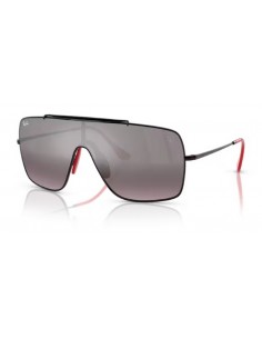 Ray Ban RB3697M
