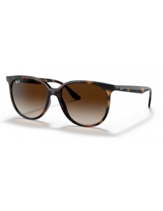 Ray Ban RB4378 2